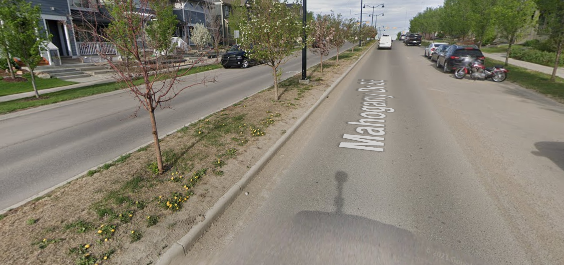 Mahogany Road June 2021 (Before ELM)