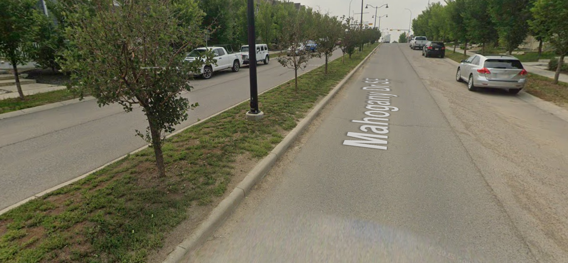 Mahogany Road July 2023 (ELM Year 1)