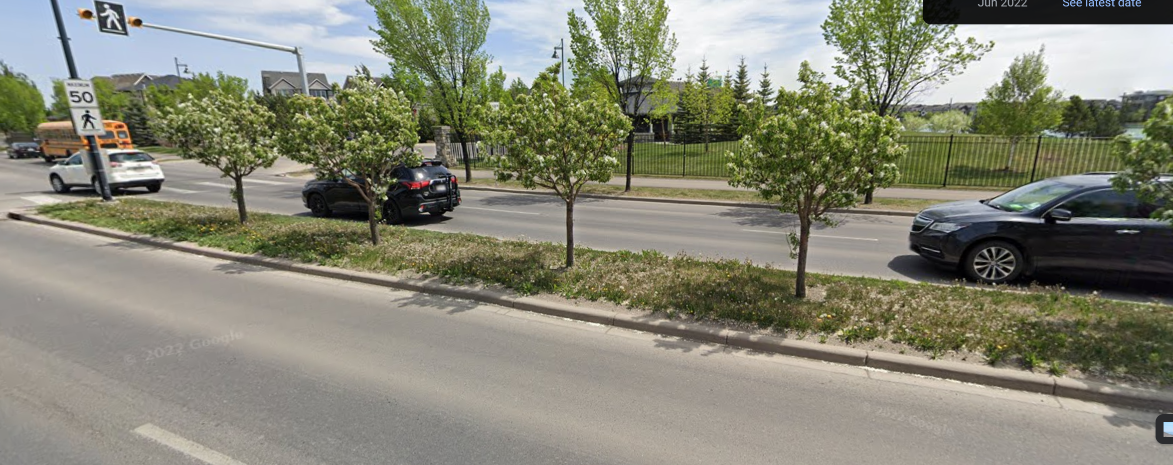 Mahogany Blvd June 2022 (Before ELM))