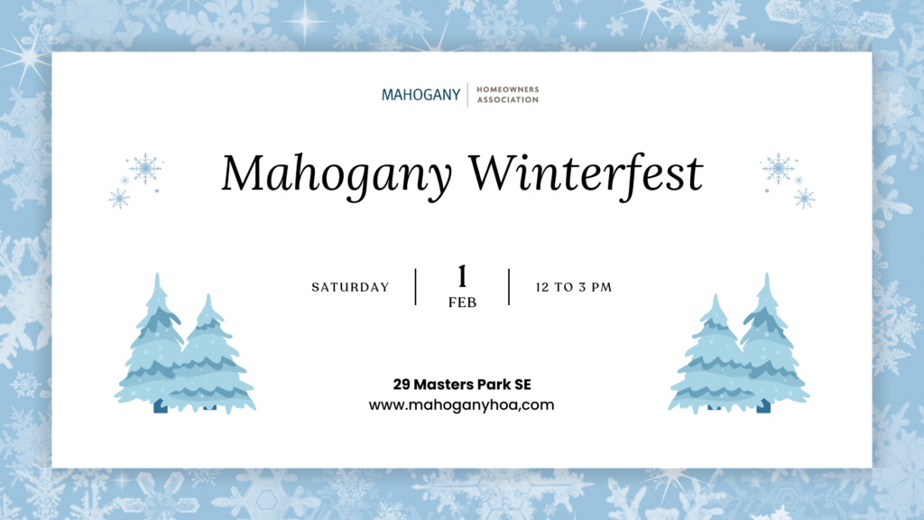 Winterfest & Polar Dip
